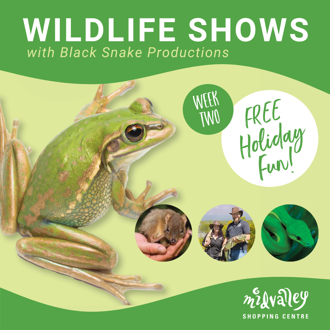 FREE Wildlife Shows