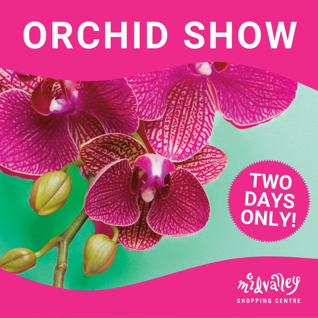 Winter Orchid Show