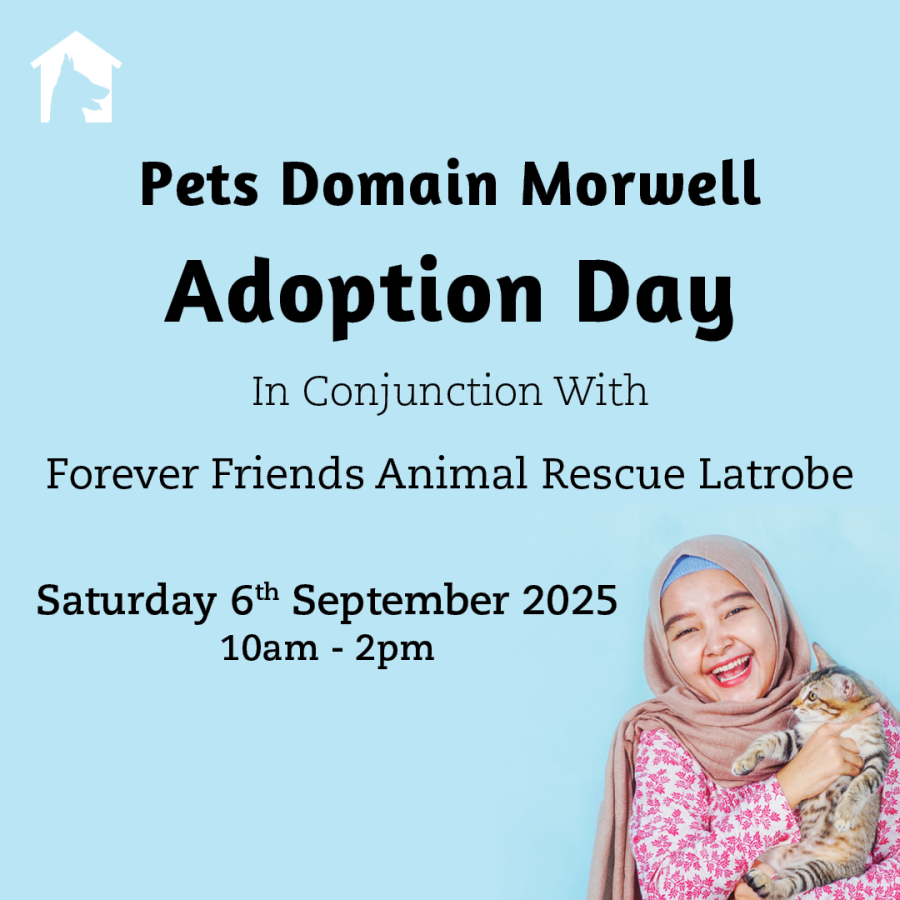 Pets Domain Adoption Day