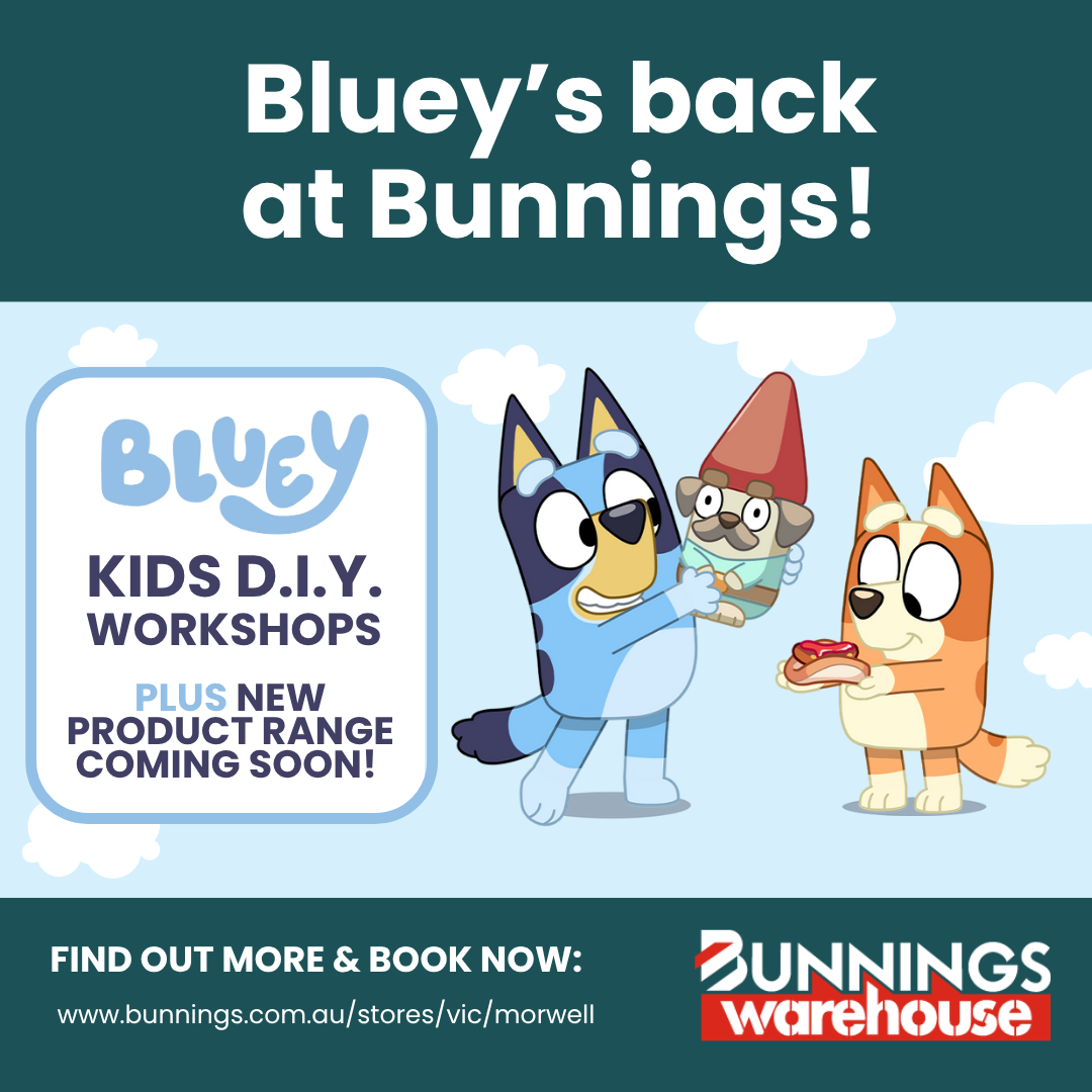 Bluey D.I.Y. Workshops