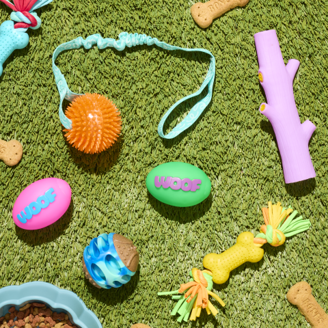 Waggi Dog at The Reject Shop